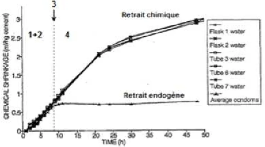 Figure 20 : Évolution du retrait chimique et du retrait endogène pendant l’hydratation d’un ciment avec un E/C de 0,4 [15].