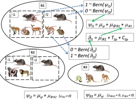 Figure 1 Illustration of the inverse Bayesian model for inferences on parasite geography and spillover effects from global species lists.