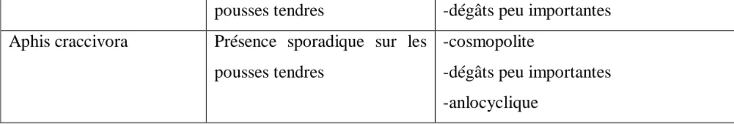 Tableau  N°  04:  Quelques  virus  transmis  par  les  pucerons  sur  la  culture  de  pomme  de  terre (Duvauchelle et al., 2004) 