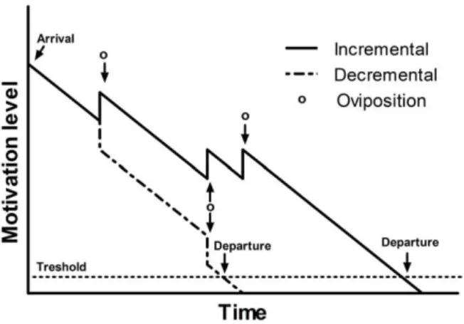 Figure 1. The main motivation-based mechanisms of decision- decision-making described for female parasitoids