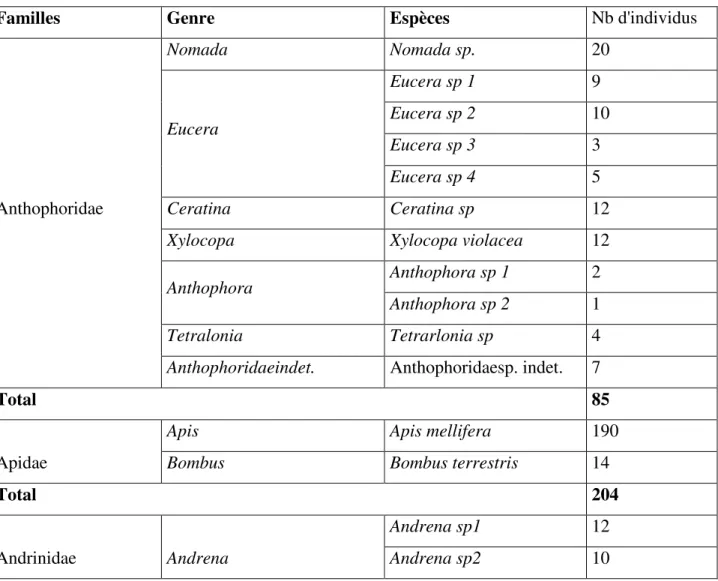 Tableau 8 : Liste des Apoidea capturés dans la région de Semmachedurant la période  2016 /2017 