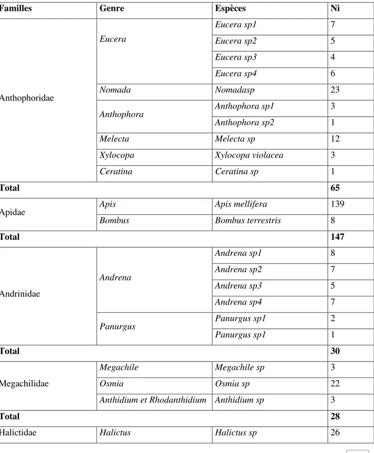 Tableau 9:Liste  des  espèces  d’Apoides  capturées  dans  la  station  d’Aguilal  de  la  région  de  Bouira 