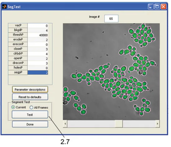 Figure 3. SegTest GUI. The interface is used to test cell segmentation parameters and visually confirm segmentation accuracy as in step 2.7.