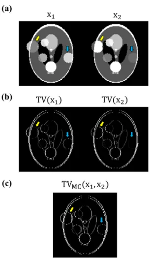 Figure 2.1: Total variation (TV) and multi-contrast total variation (MC-TV). (a) Simulated images with two different contrast settings