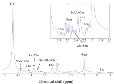 Figure 3.1: A noise-free, lipid-free, water-suppressed synthetic MRS spectrum with signal components from compounds observed in human brain tissues