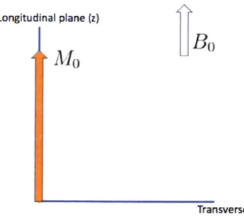 Figure  2-1:  In  the  presence  of  an  external  BO,  magnetization  will  align  along  the  z direction  in  equilibrium.
