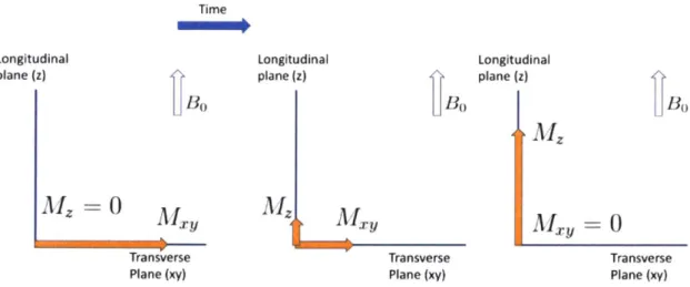 Figure  2-3:  After  a  9 0 'excitation,  the  transverse  component  of  the  magnetization decays  and  the  longitudinal  portion  of the  magnetization  recovers,  according  to  the intrinsic  tissue  properties  T2  and  T1  respectively.