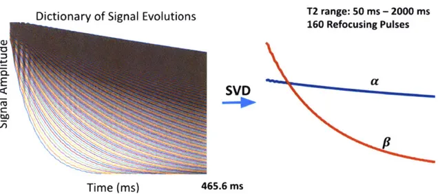 Figure  3-1:  A  typical  dictionary  of signal  evolutions  with  T2  values  between  50  and 2000  ms  for  a  HASTE  sequence  with  465.5  ms  acquisition  time  and  160'refocusing pulses