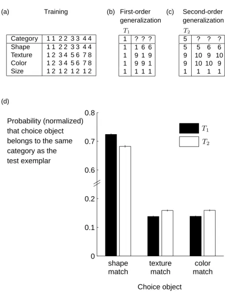 Figure 4-6: Learning the shape bias. (a) Training data based on Smith et al. (2002).
