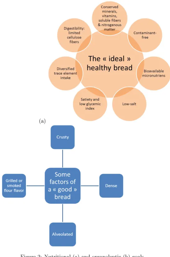 Figure 2: Nutritional (a) and organoleptic (b) goals