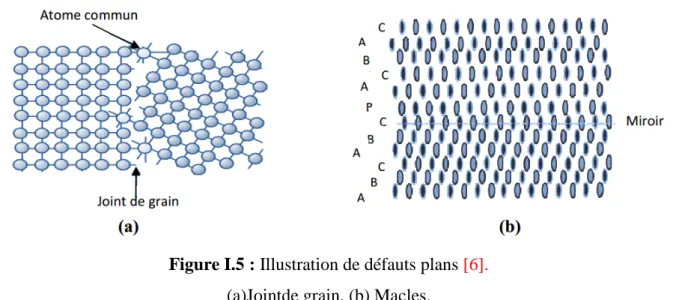 Figure I.6 : Illustration de défauts à trois dimensions [6]. 