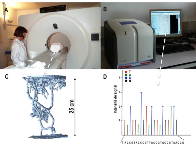 Figure   2   :   Examples   of   analytical   techniques   