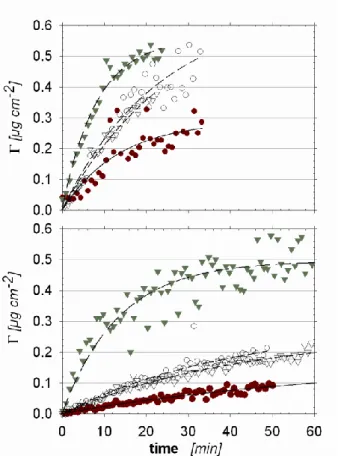 Figure 5  Adsorption kinetics of  the oligomers on mica (o)  in  front  of hydrophilic  glass () 