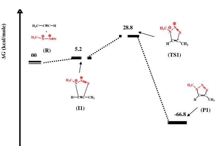 Figure 10 :Diagramme des énergies libres relatives calculées pour la formation thermique de  l’isomère 1,4-triazole par réactionde cycloaddition (AAC) non catalysée