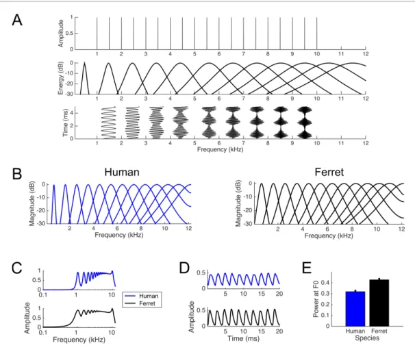 Figure 1. Simulated cochlear filters and their responses to a 500 Hz harmonic complex tone filtered from 1 to 10 kHz