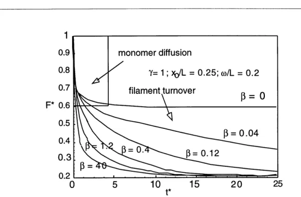 FIGURE 3.3 Decay  offluorescence  in a photoactivated  band. A  rapid initial decay  of fluorescence  is caused by the diffusion offluorescent  monomer from the band immediately  after uncaging