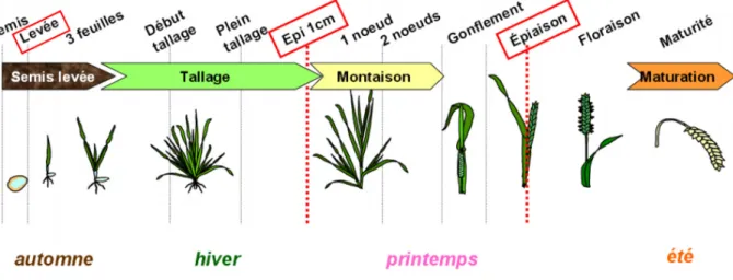 Figure 01 : représentation des