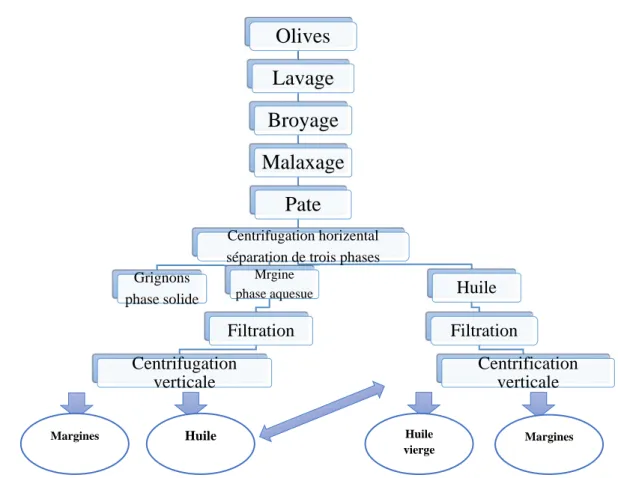 Figure 2 : Procédé d’extraction d’huile d’olive continue a trois phases (BOUNCER  et  DJADOUNE, 2012)