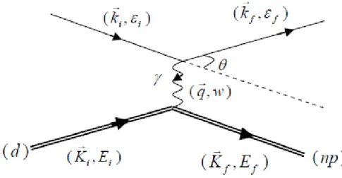 Fig. 3-1 –Figure3.1 : Cinématique de la réaction d(é-e)np.