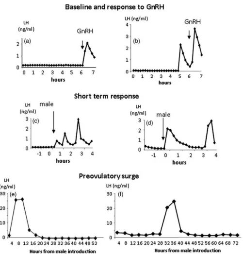 Figure 1 Types of LH responses observed in experiment 2. (a, b) Short-term responses to GnRH observed, respectively, in a Mouton Vende´en ewe at the end of anoestrus and a Me´rinos d’Arles ewe in middle anoestrus