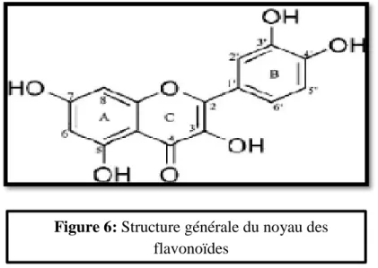 Figure 6: Structure générale du noyau des  flavonoïdes 