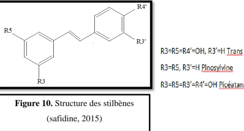 Figure 10. Structure des stilbènes  (safidine, 2015) 