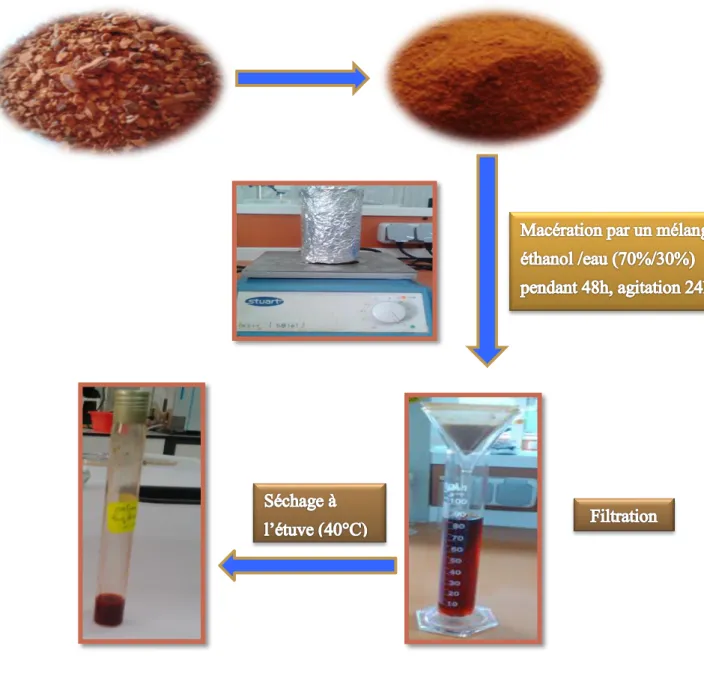 Figure 13: Extraction des substances végétales 
