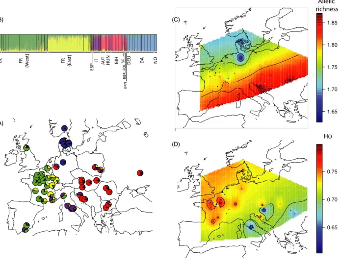 Figure 2 Geographical genetic diversity, genetic structure, and admixture of Malus sylvestris in Europe (A) Population structure for the nonintro- nonintro-gressed Malus sylvestris dataset (N = 1376, 62 sites), inferred with TESS, for K max = 8, showing fi