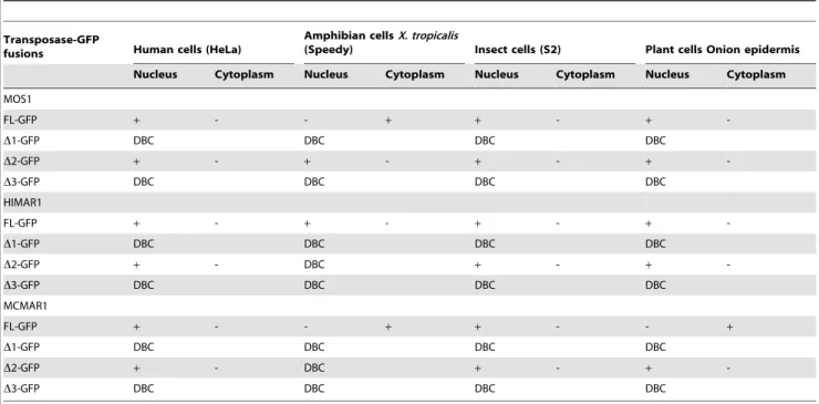 Table 2. Subcellular localization of transposase/GFP fusions.