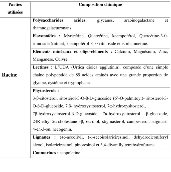 Tableau 3 : Composition chimique de la racine d’Urtica dioica (Ait Haj said et al., 2016)