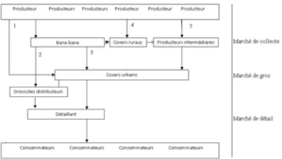 FIGuRe 3 : Circuits de commercialisation de l’oignon au Sénégal