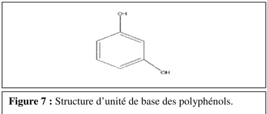 Figure 7 : Structure d’unité de base des polyphénols. 