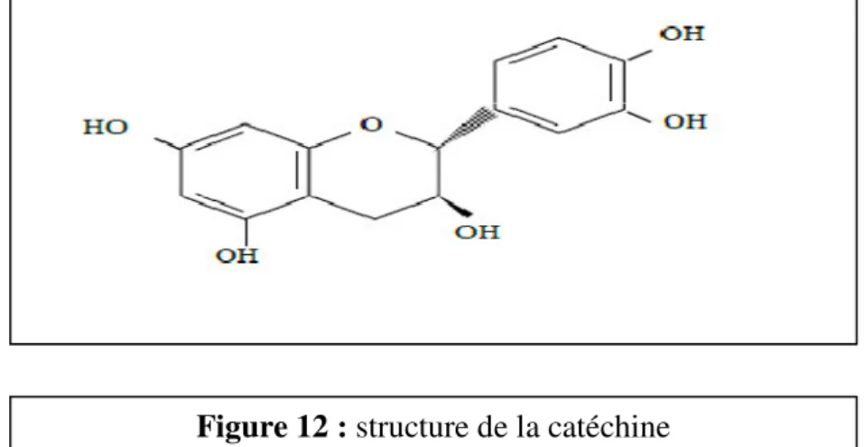 Figure 12 : structure de la catéchine 