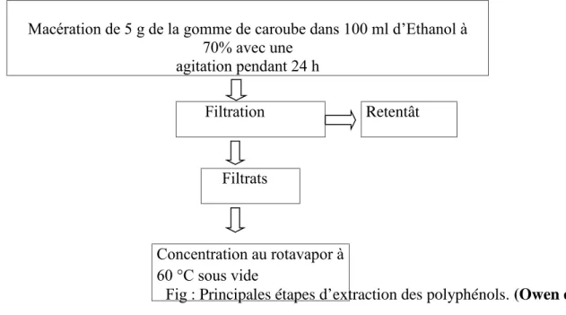 Fig : Principales étapes d’extraction des polyphénols. (Owen et Johns, 1999) Fig.III-5: Principales étapes d’extraction des polyphénols (Owen et Johns, 1999).