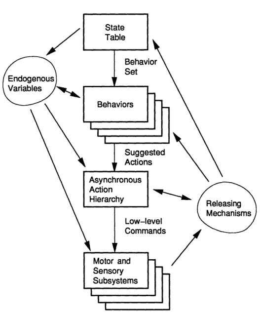 Figure  2.4:  Information  flow in  the  general  agent  architecture.  An  asyn- asyn-chronous  action  hierarchy  is used  to provide  the  functions  of action  selection and  dynamic  control