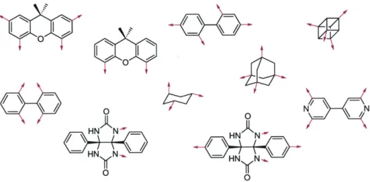 Figure 2.  A  selection  of core molecules  for  combinatorial chemistry  developed  in the Rebek group.