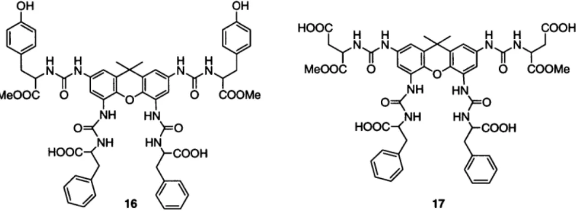 Figure 3.  Structures  of the two xanthene  tetraureas  active  in binding to  DNA.