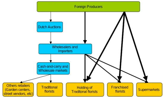 Figure 4 – Marketing channels of cut flowers in France, 2008.  