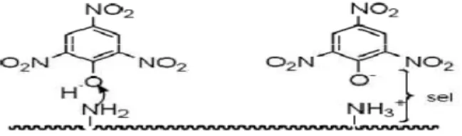 Figure 6 : Structure moléculaire d’un colorant direct [9] 