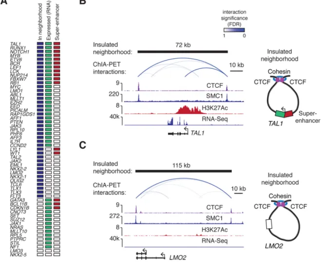 Fig. 2. Active oncogenes and silent proto-oncogenes occur in insulated neighborhoods