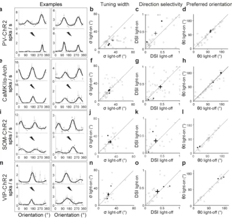 Figure 2. PV+ activation enhances V1 stimulus selectivity