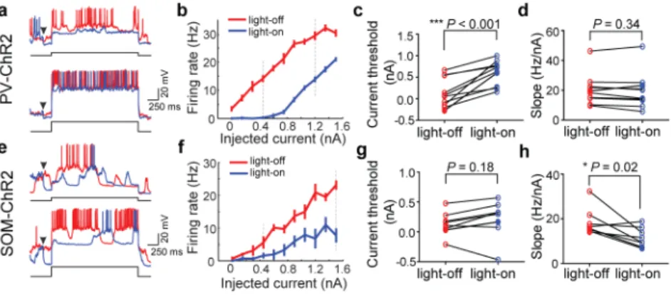 Figure 3. Effects of PV+ and SOM+ activation on FI function