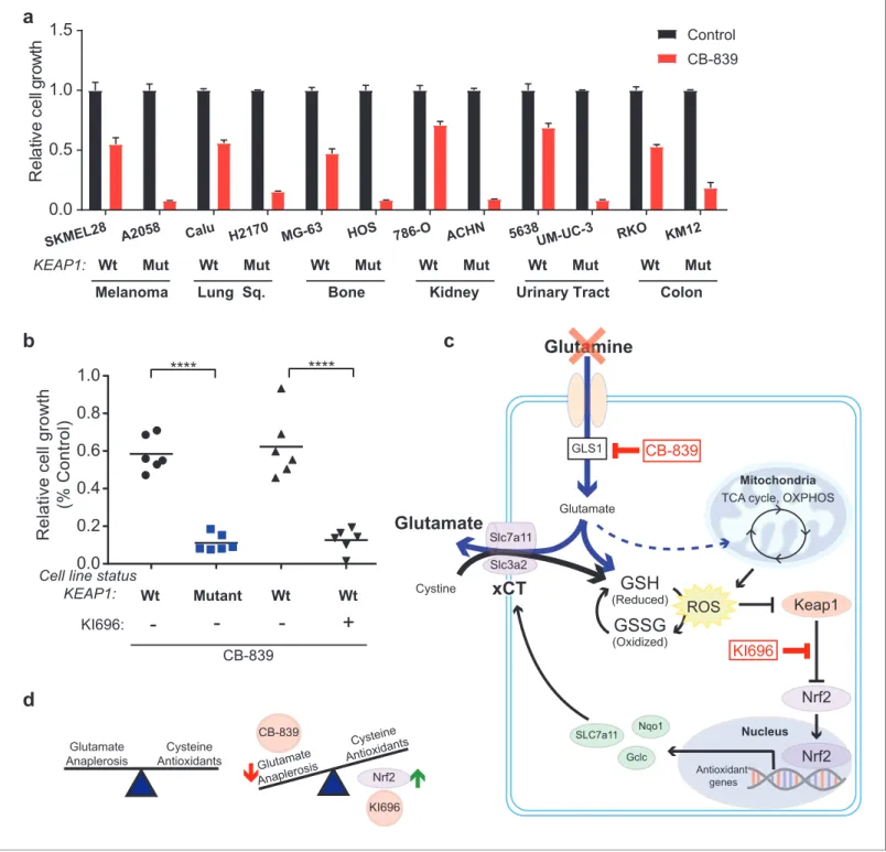 Figure 5. KEAP1 mutations predict sensitivity to glutaminase inhibitors across multiple cancer subtypes