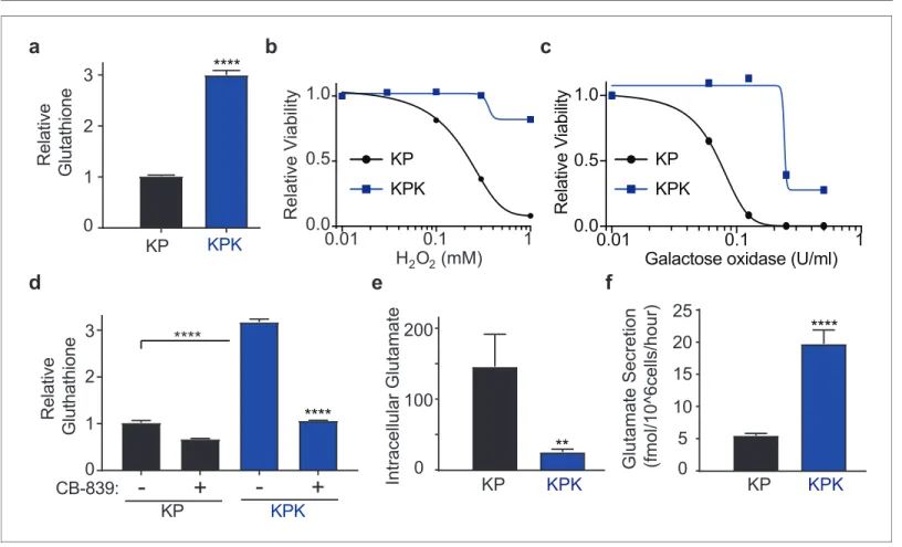 Figure 1. Keap1 mutations cause increased dependency on exogenous glutamine. (a) Measurement of whole cell glutathione levels in wild type (KP) and Keap1 mutant (KPK) in isogenic clones derived from mouse lung tumors (n = 3, triplicate wells)