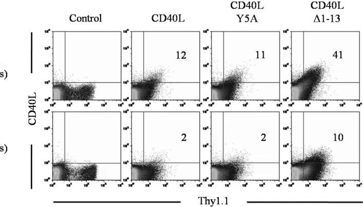 Figure 2. Surface expression of wildtype and mutant CD40L