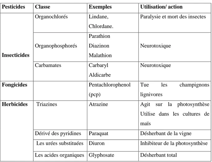 Tableau 2 : Classification des pesticides (BEN OUJII, 2012)  