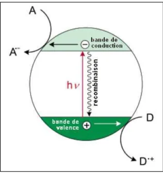 Figure 1.10 : Mécanismes d’absorption de la lumière par une particule semi-conductrice