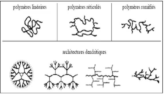 Figure : 2.1 : Classification des architectures macromoléculaires selon Tamolia. 