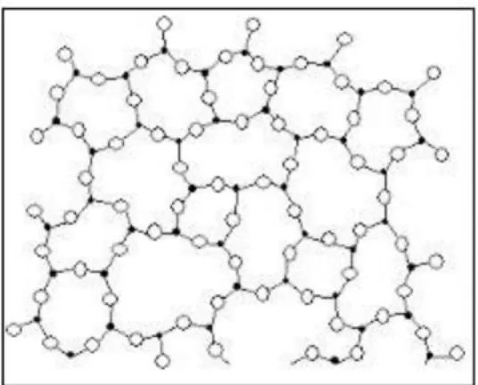 Figure 2.2: structure d'un polymère amorphe. 