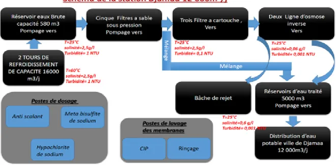 Fig. V 9 : Organigramme de la station de Djamaa  V.2. - Le prétraitement : 